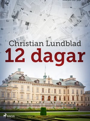 cover image of 12 dagar